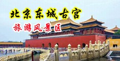 爆操美女黄色的逼中国北京-东城古宫旅游风景区