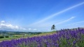 性虐女小视频一区日本一地6日游  境外旅游 6880元/人